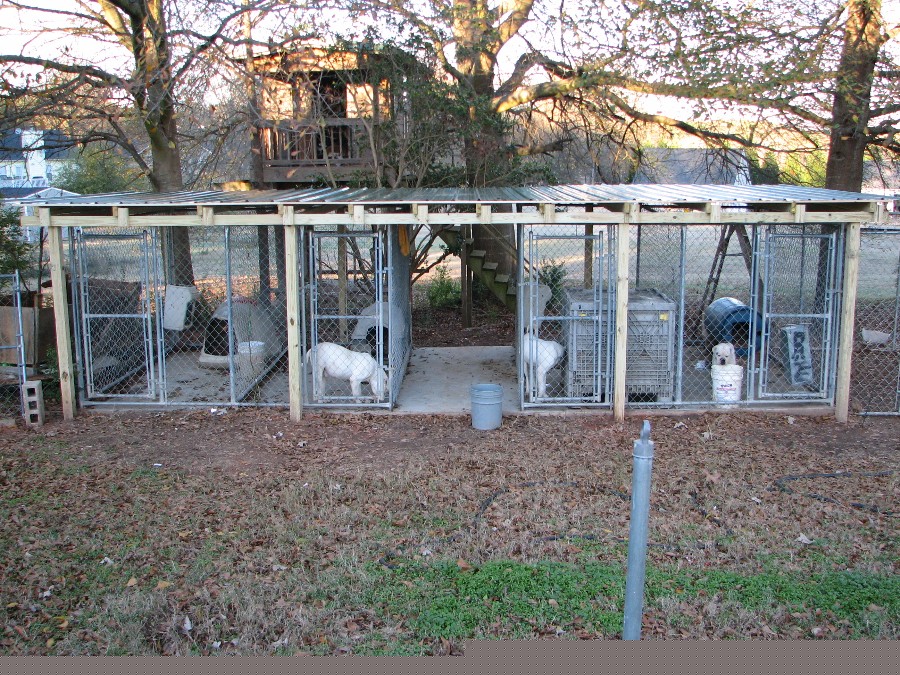 kennel1.jpg